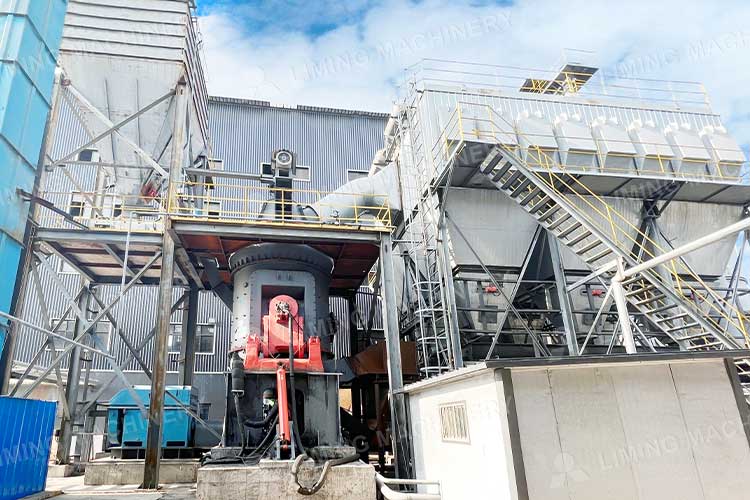 Site de broyeur à charbon vertical LM 20 t/h